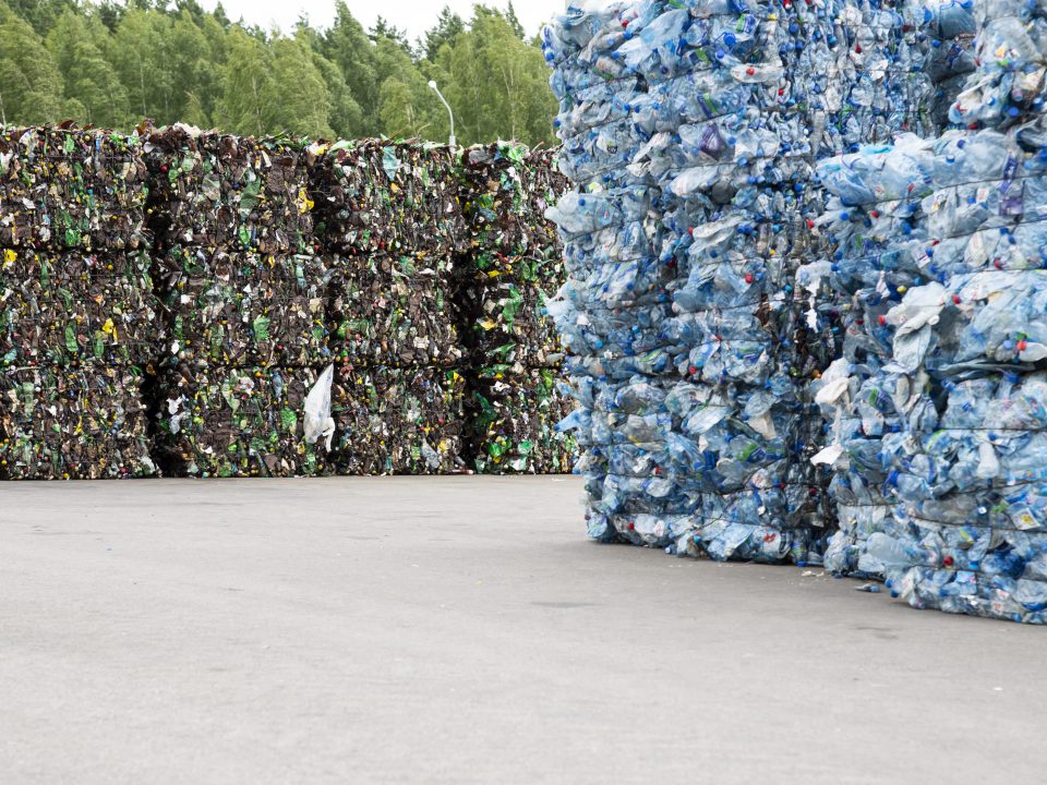 Assimilazione rifiuti